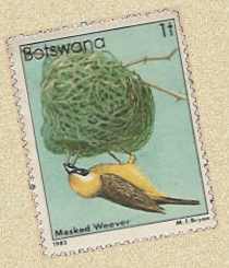 Wevervogeltje op een postzegel.